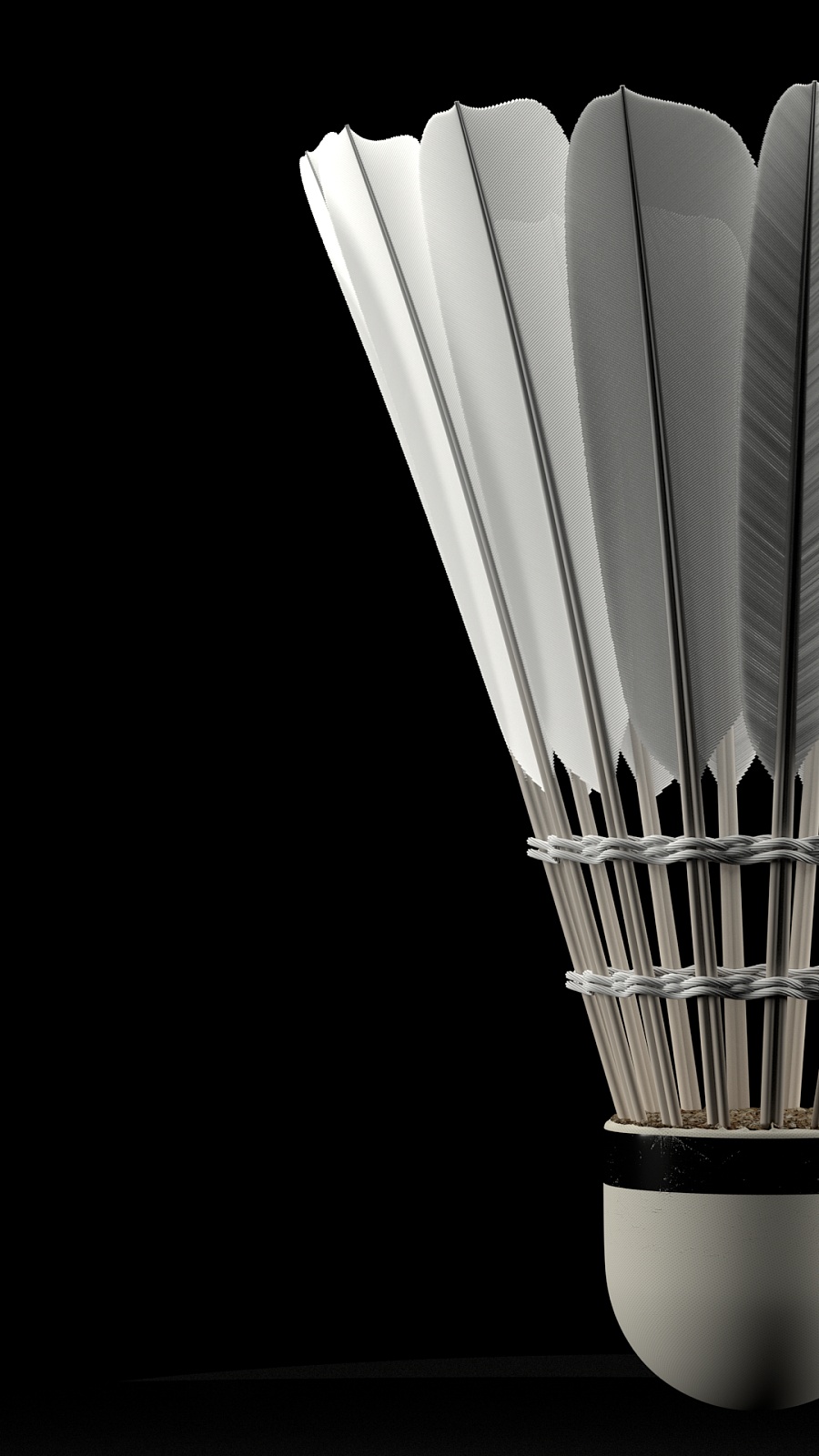 间的交流 间的交流