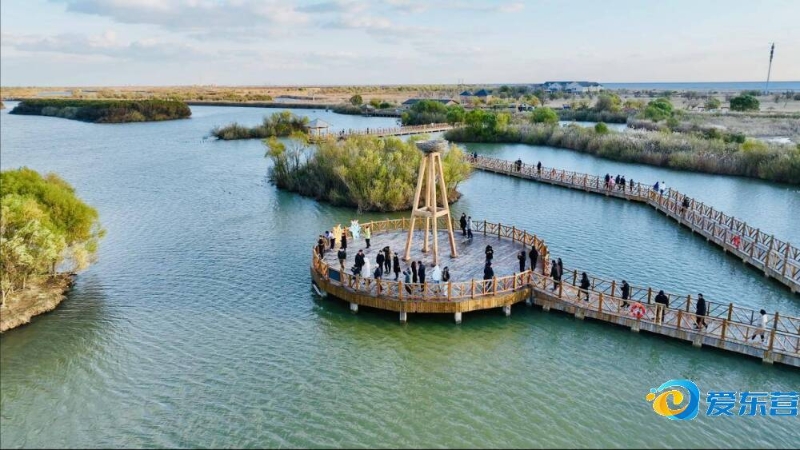 里大师赛中 里大师赛中