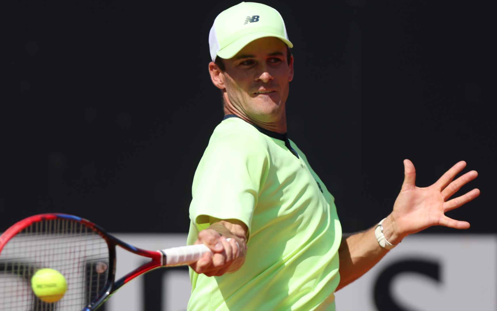 鹈鹕的阵地 鹈鹕的阵地